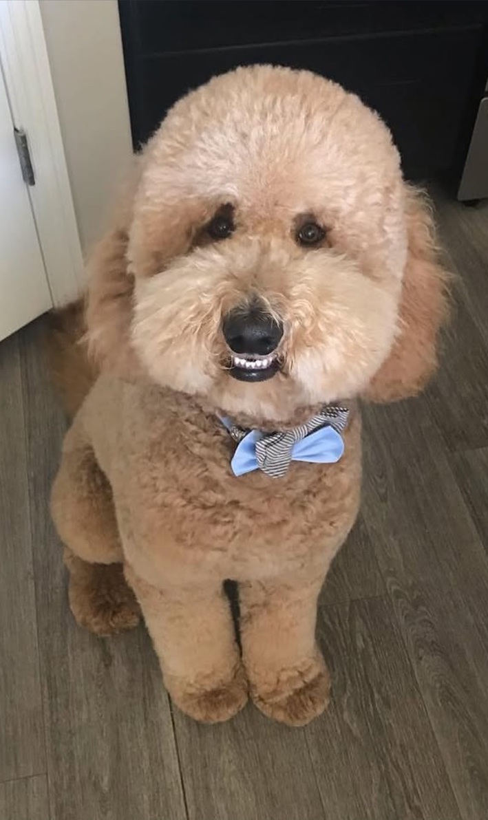 Kony wearing his blue bow tie